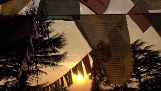 尼泊尔加德满都，一些西藏经幡在日落时分随风飘扬的视频。视频素材模板下载
