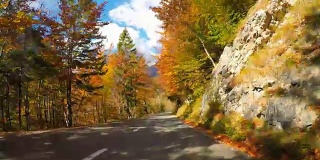 行驶在风景优美的道路上，穿过秋天的森林，阳光照耀着五颜六色的树叶