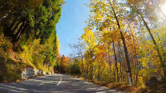 行驶在风景优美的道路上，穿过秋天的森林，阳光照耀着五颜六色的树叶