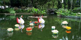 香港植物园池塘上的装饰
