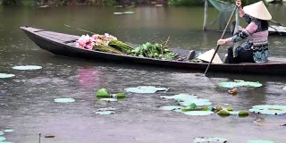 在越南同塔省塔Muoi的大湖里，一名越南女子在雨中划着传统的木船，荷花和荷花荚，4k视频场景，文化和生活理念