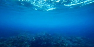 水下珊瑚礁无缝循环镜头