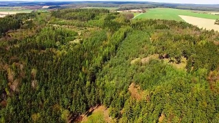 捷克乡村上空的相机飞行。森林，田野，草地，中欧的农业景观。视频素材模板下载