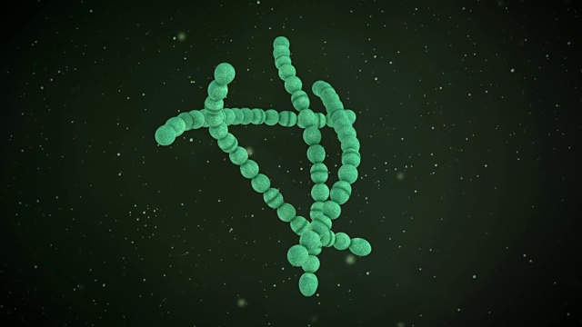 一个化脓性链球菌的三维动画