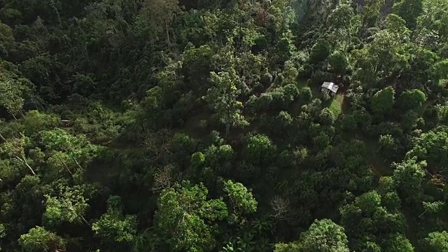 无人机在日落时在中国云南森林飞行的鸟瞰图