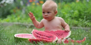 可爱的学步小孩，小男孩，在花园里吃着成熟的西瓜，美味的水果