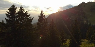 天线:金色的夕阳照射在斯洛文尼亚山上高大的云杉上。