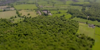 田野和林地鸟瞰图。4K