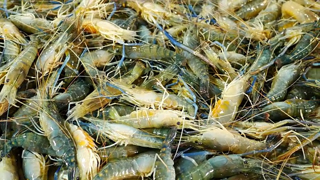 海虾在市场上卖海鲜。