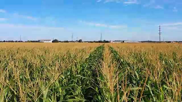 加州农田鸟瞰图