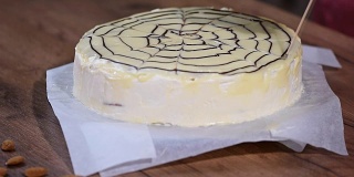 经典的酯化蛋糕装饰白巧克力奶油釉和黑巧克力蜘蛛网。