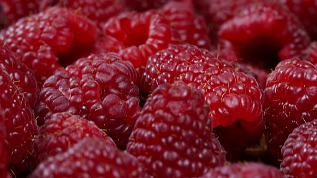 微距拍摄覆盆子，水果常用于果酱，糖浆和果冻。树莓含有大量的维生素c和利尿功能。水果概念，果汁，果酱和蛋糕。