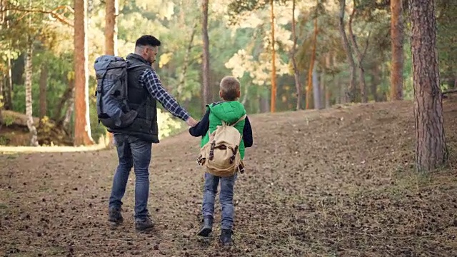 幸福家庭的背影孩子和父亲走在森林里手牵着手说话，男孩正在扔松果。自然、父爱、秋的概念。