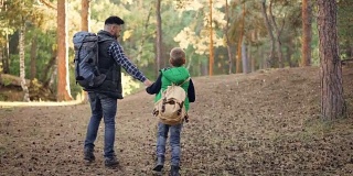 幸福家庭的背影孩子和父亲走在森林里手牵着手说话，男孩正在扔松果。自然、父爱、秋的概念。