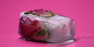微距拍摄玫瑰解冻冰块，有机美容护肤产品
