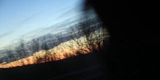 日落时路过的风景乘客POV，梦幻的风景。道路上树木和电线的剪影