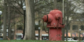 草地上的城市消火栓