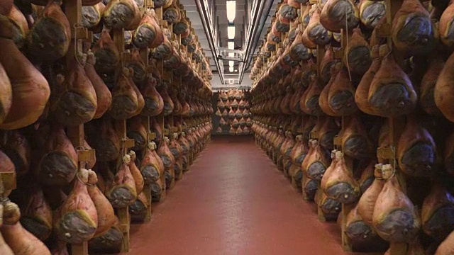 在一个火腿工厂里，根据古老的意大利传统，火腿经过各种各样的工序后被挂起来调味。