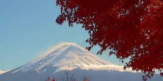 红红的枫叶在富士山和晴朗的天空中移动