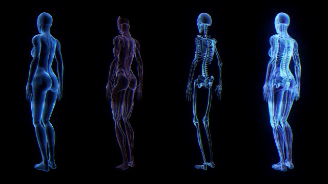 人体女性解剖三维动画生物科学技术
