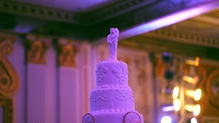 婚礼后派对:婚礼蛋糕视频素材模板下载