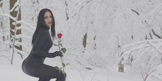 一个女人在雪地里摘红玫瑰花