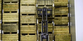 一种特殊的机器，装载机，叉车把装有苹果的大木箱一个一个地放在另一个上面，放在仓库的一个特殊的储藏室里