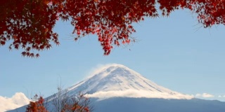 红红的枫叶在富士山和晴朗的天空中移动。模糊或失焦样式
