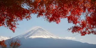 红红的枫叶在富士山和晴朗的天空中移动。模糊或失焦样式