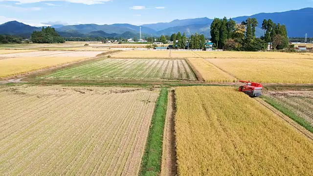 空撮　秋　農作業　米　収穫　稲刈り　男性