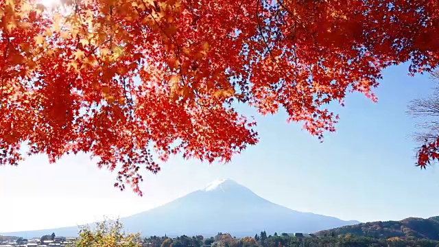 富士山的秋叶景观