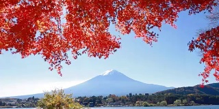 富士山的秋叶景观