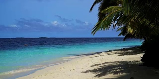 美丽的热带海滩和椰子树的海洋，假日度假的概念
