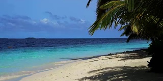 美丽的热带海滩和椰子树海，假日度假概念
