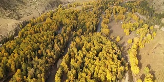 中国新疆河姆村的风景