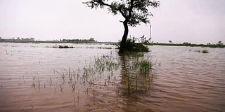 雨季洪水