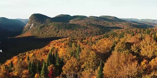 鸟瞰图的北方森林自然在秋天在日出，魁北克，加拿大