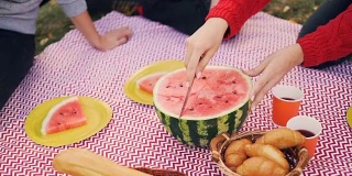 在户外野餐时，女性手握刀切多汁的西瓜。漂亮的格子图案，盛着食物和水果的盘子随处可见。