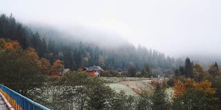 喀尔巴阡浓雾中的秋天森林