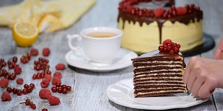 巧克力蜂蜜层蛋糕Medovik。一块巧克力蜂蜜蛋糕。