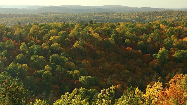 高角度观赏五彩缤纷的秋季原野森林和树木