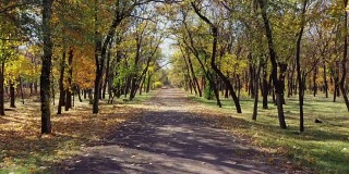 秋天公园里的小巷