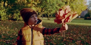 秋天。小男孩看枫叶。快乐的童年。秋天的时间。小男孩拿着枫叶。