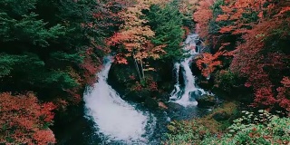 龙津瀑布秋日在日光，枥木，日本