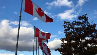 加拿大国旗视频素材模板下载