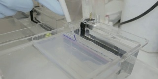 在大学的基因实验室里，研究人员将样本移到电泳凝胶中