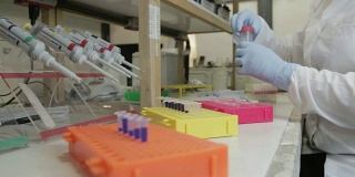在一所大学的基因实验室里，研究人员将样本转移到更小的瓶子里