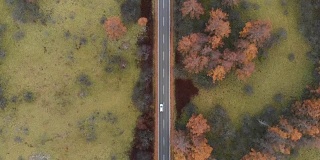 鸟瞰图与小车向前的风景路线，在秋天的尖沙原沼泽，日光，日本。