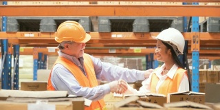 侧视图:年轻的女工业工程师和高级工程师在发货前握手成功