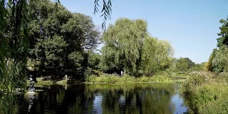 池塘在伦敦摄政公园玛丽皇后花园部分